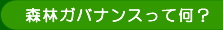 森林ガバナンスって何？